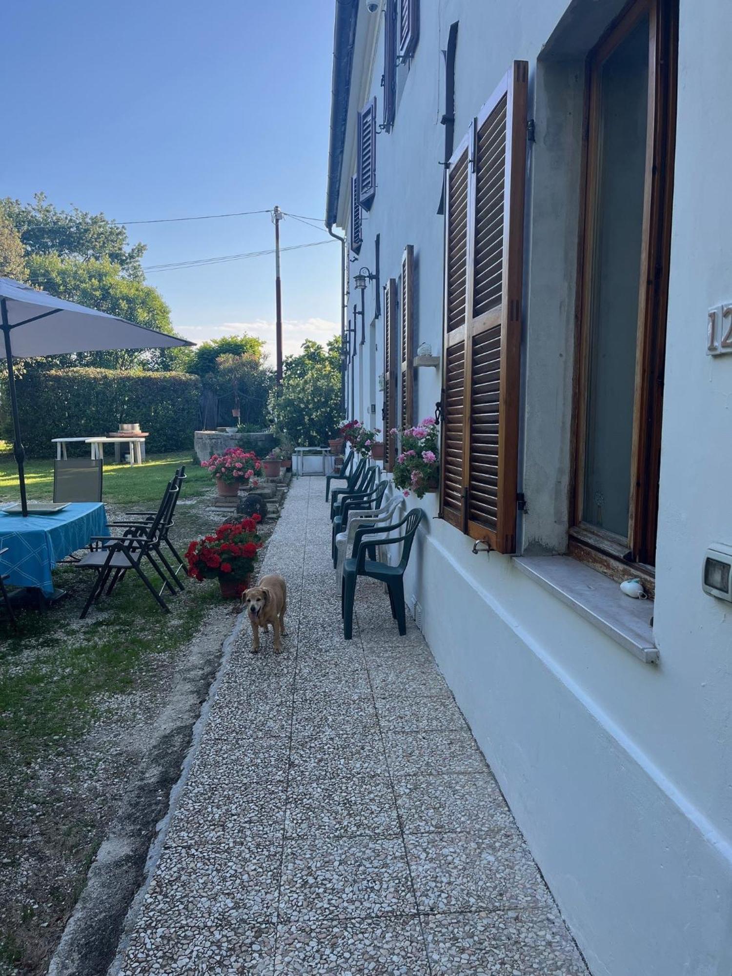 B&B Locanda Pina - Room 2 Montemarciano Exterior foto